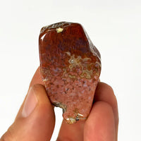 Ruby's Healing Crystals Polished Ocean Jasper Pieces