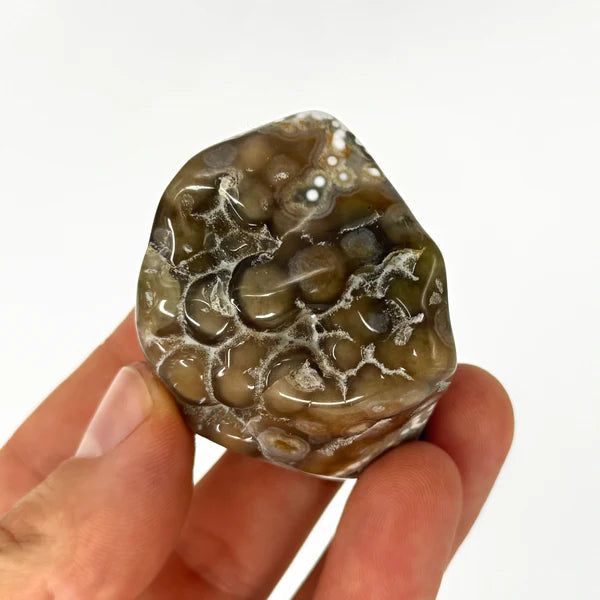 Ruby's Healing Crystals Polished Ocean Jasper Pieces