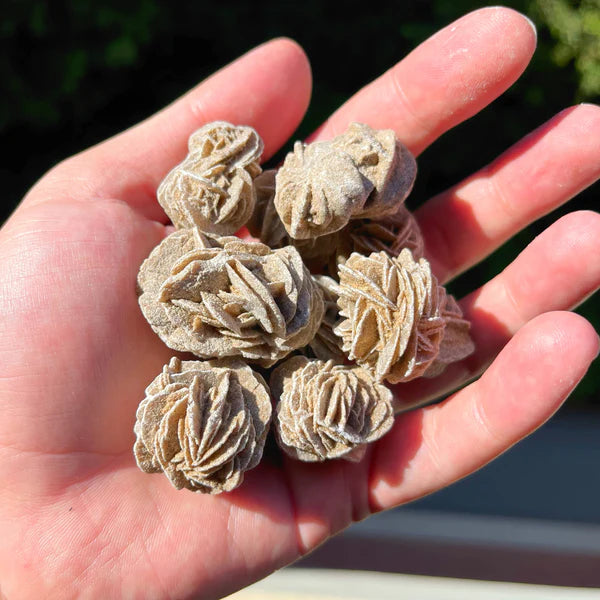 Ruby's Healing Crystals Desert Rose Selenite Clusters