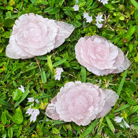 Ruby's Healing Crystals Rose Quartz Rose Carvings