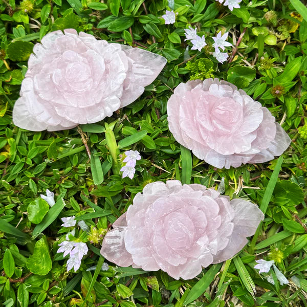 Ruby's Healing Crystals Rose Quartz Rose Carvings